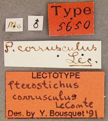 Media type: image;   Entomology 5650 Aspect: labels